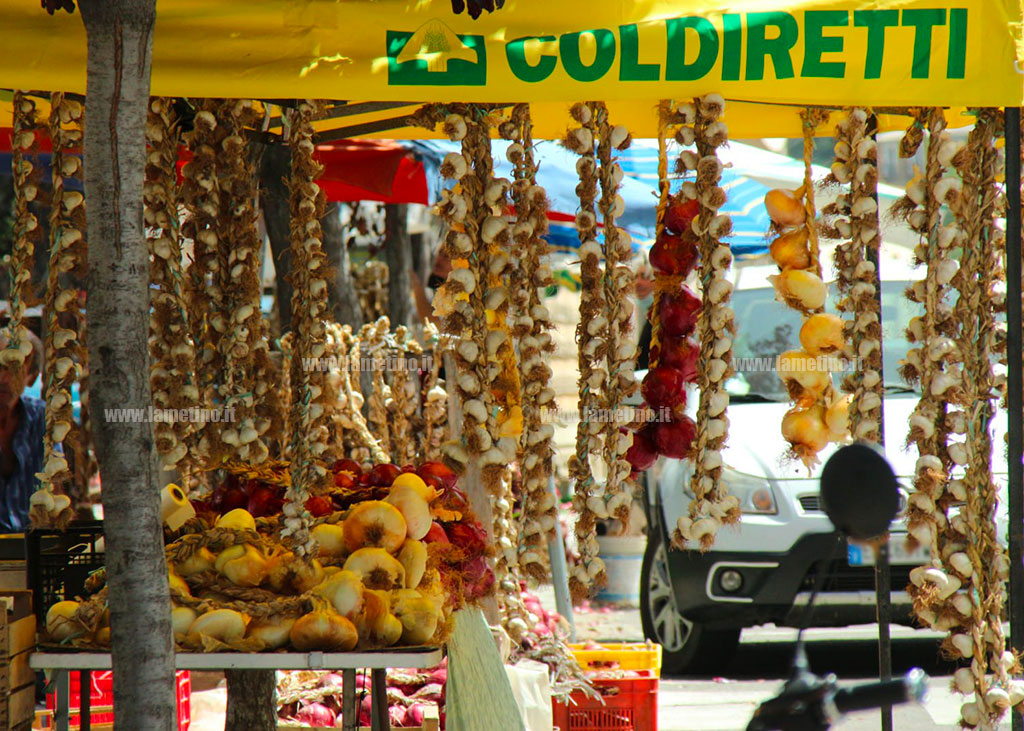 aglio-e-cipolla_c1aa1.jpg