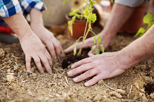 Coldiretti: elezioni europee fondamentali per agricoltura e agroalimentare