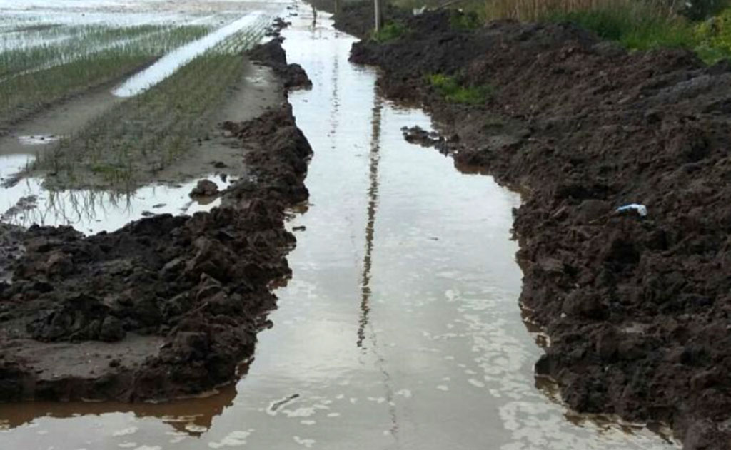 Confagricoltura: seri i danni all’agricoltura per freddo e mareggiate: attivarsi per sostenere aziende