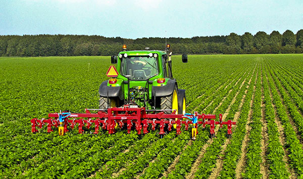 Lamezia, accordo fra organizzazioni agricole e sindacati: maggiori tutele per i dipendenti del settore