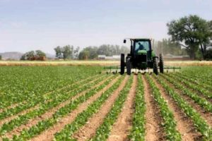 Coldiretti Calabria: 100 milioni bloccati per gli agricoltori, situazione intollerabile