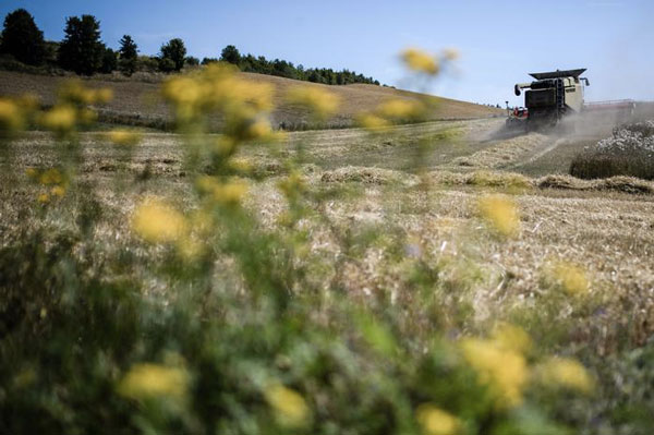Assegnazioni fondo Europeo Agricolo Sviluppo Rurale, oltre 1 milione per la Calabria