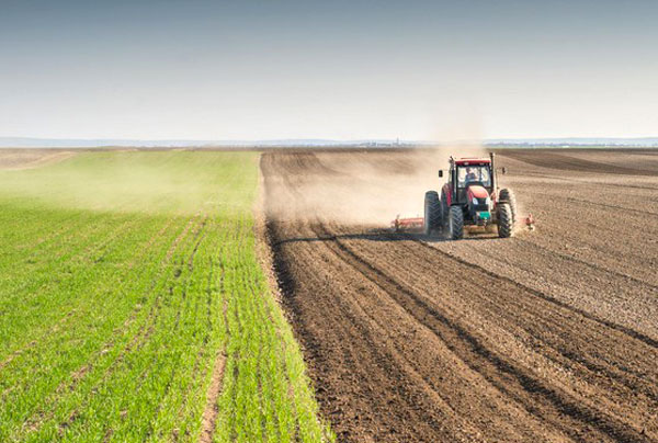 Cia Calabria: "Costi produzione alle stelle, agricoltori pronti a incrociare le braccia"