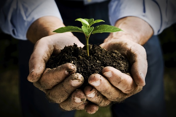 Lamezia, il 19 convegno Anpa su “La nuova Politica Agricola Comune 2021-2027”