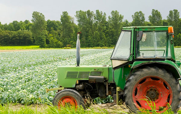 Lamezia, Sindacati: iniziativa #Cplday occasione per ribadire necessità rinnovo Contratti di Lavoro del settore agricolo