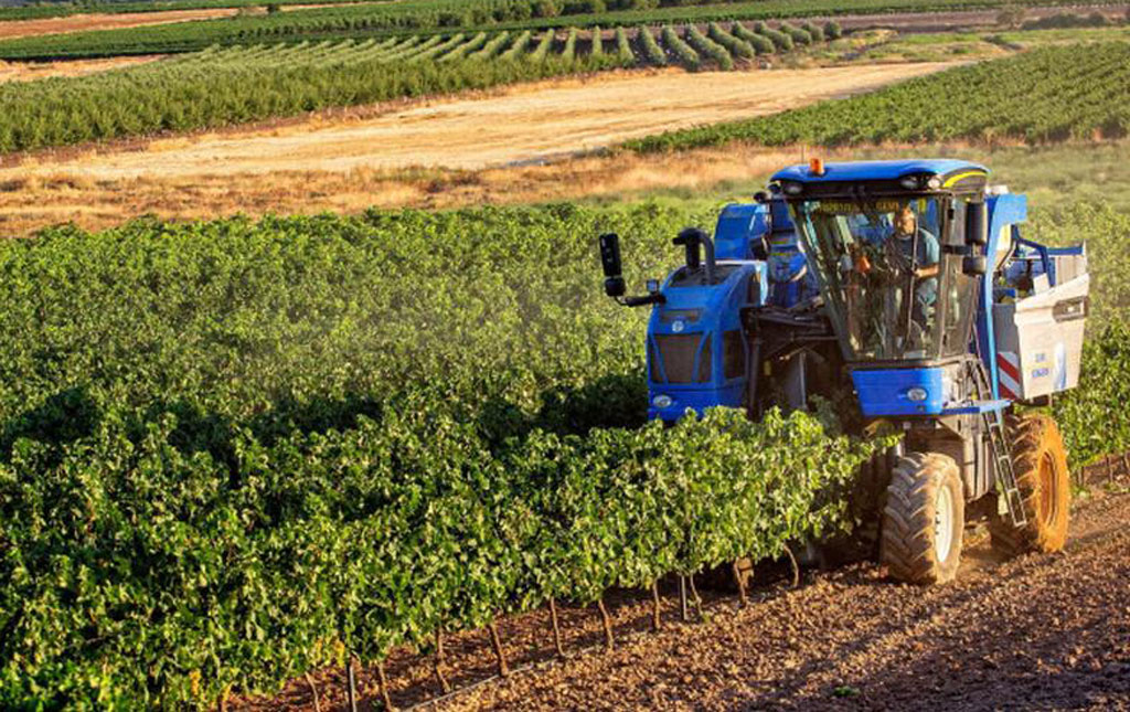Regione, bando tutela produzioni agricole da danni fauna selvatica e avversità atmosferiche
