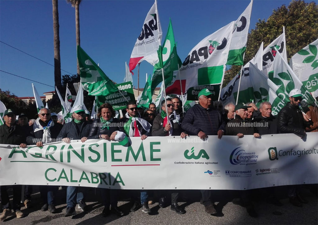 agrinsieme-2019111.jpg