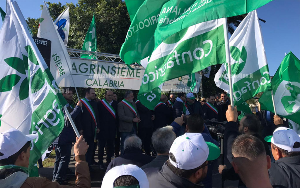 Olivicoltori in protesta a Lamezia, corteo dei trattori attraversa la città: "La qualità va pagata al giusto prezzo" - VIDEO