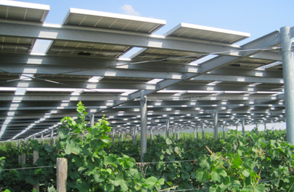 Agrofotovoltaico, il consigliere regionale Raso replica alle associazioni ambientaliste