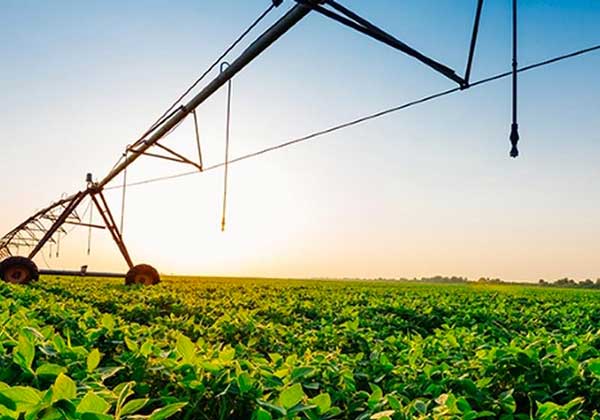 Psr Calabria, 5mila agricoltori beneficiari utilizzeranno piattaforma di e-learning 