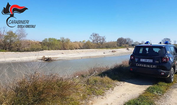 Agrumeti abusivi in terreno demaniale, 16 denunce a Corigliano-Rossano