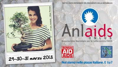 Lamezia: Domani appuntamento con il Bonsai Anlaids su corso Nicotera