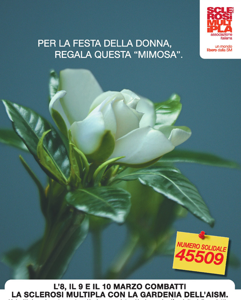 Lamezia: Questo weekend ritorna la Gardenia dell'Aism contro Sclerosi Multipla