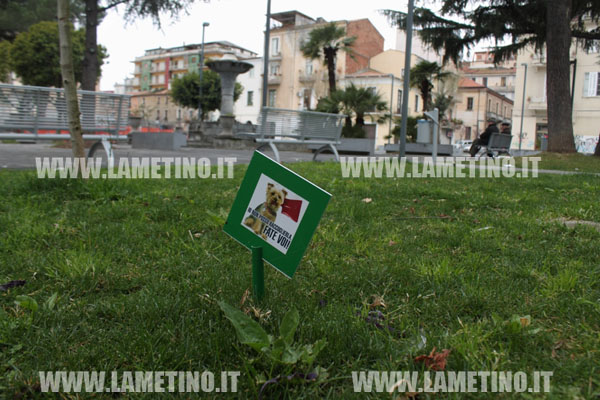 Lamezia: Divelti cartelli a piazza Mazzini che invitano a senso civico i proprietari dei cani