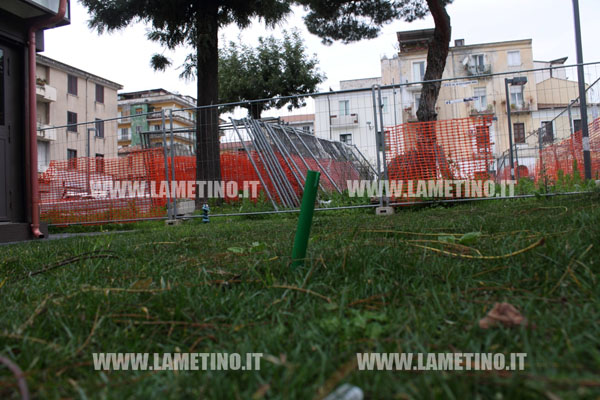 aiuole_piazza_mazzini_lamezia_segnali_cani_3.jpg