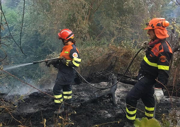 Incendi, Fontana: "In Calabria volontari e mezzi lombardi"