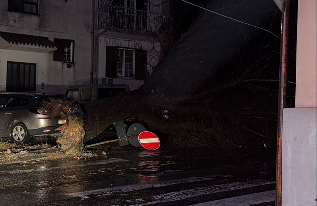 alberi-caduti-2026-01-21-alle-08.28.12_b152b.jpg
