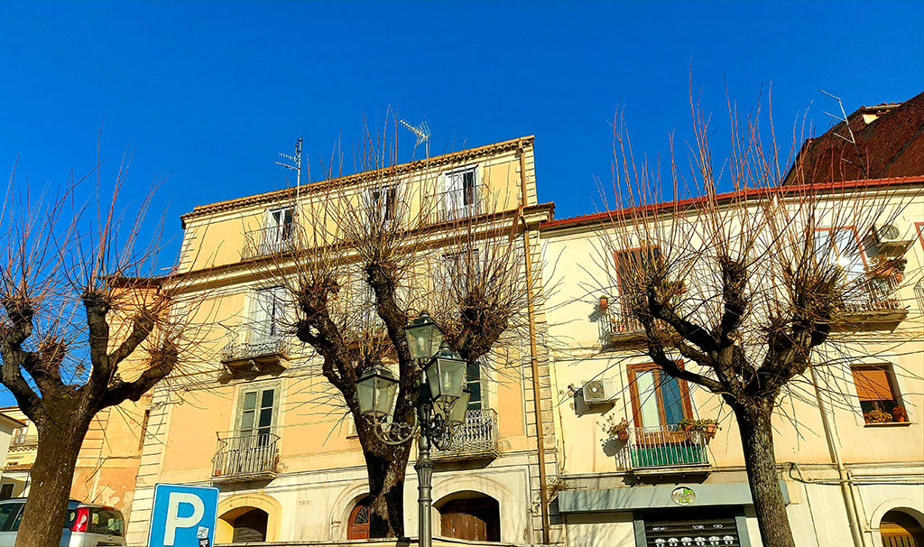 Lamezia Bene Comune su potatura alberi: “Stop capitozzature selvagge. Si rispetti regolamento comunale”