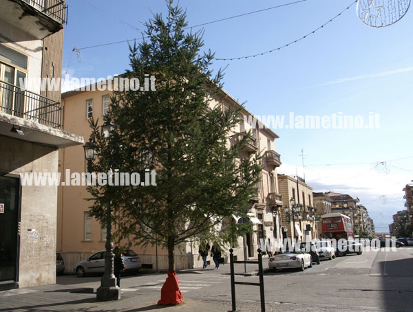 alberi-di-natale-2-2012