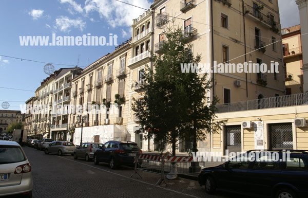 Lamezia: Collocati alberi di Natale tra le vie del centro