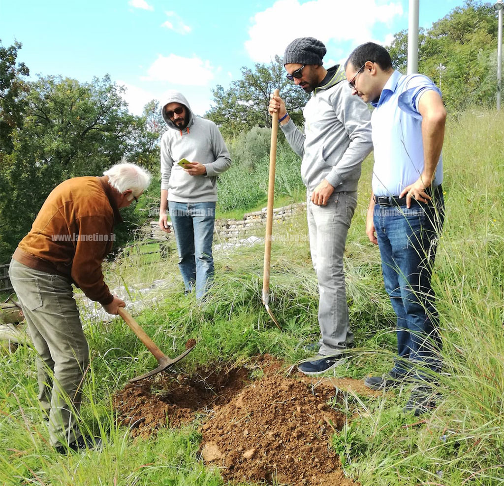 alberi-m5s-181118-3.jpg