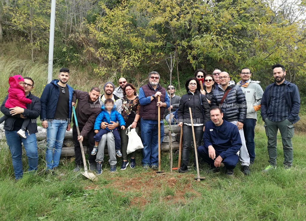 Lamezia, Meetup 5 Stelle promuove iniziativa “Alberi per il futuro”: piantati 5 arbusti al parco Gancia