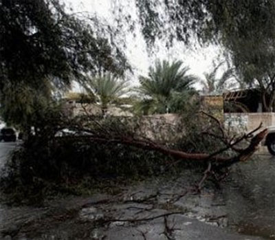 Calabria: Maltempo, tromba d'aria su tirreno cosentino