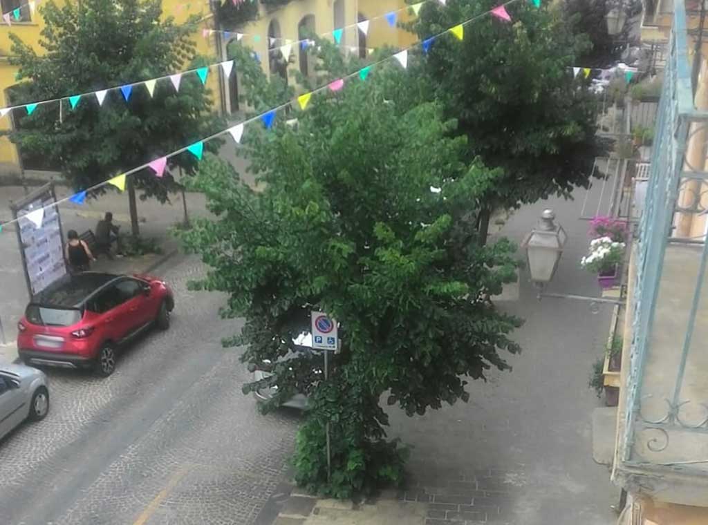 Nero (MTL-Lamezia Nuova): "Chiediamo manutenzione degli alberi di via Garibaldi"