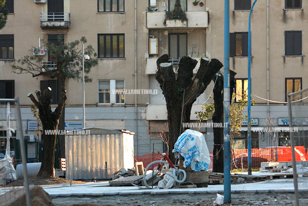 Lamezia: A rischio verde pubblico nella villa comunale di piazza Mazzini