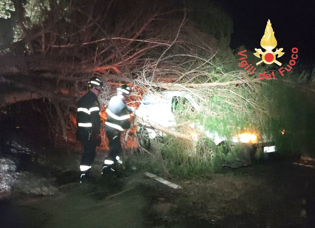 Lamezia, albero secolare cade su furgone ditta impegnata nei lavori su ss 280 dopo maltempo: illeso conducente