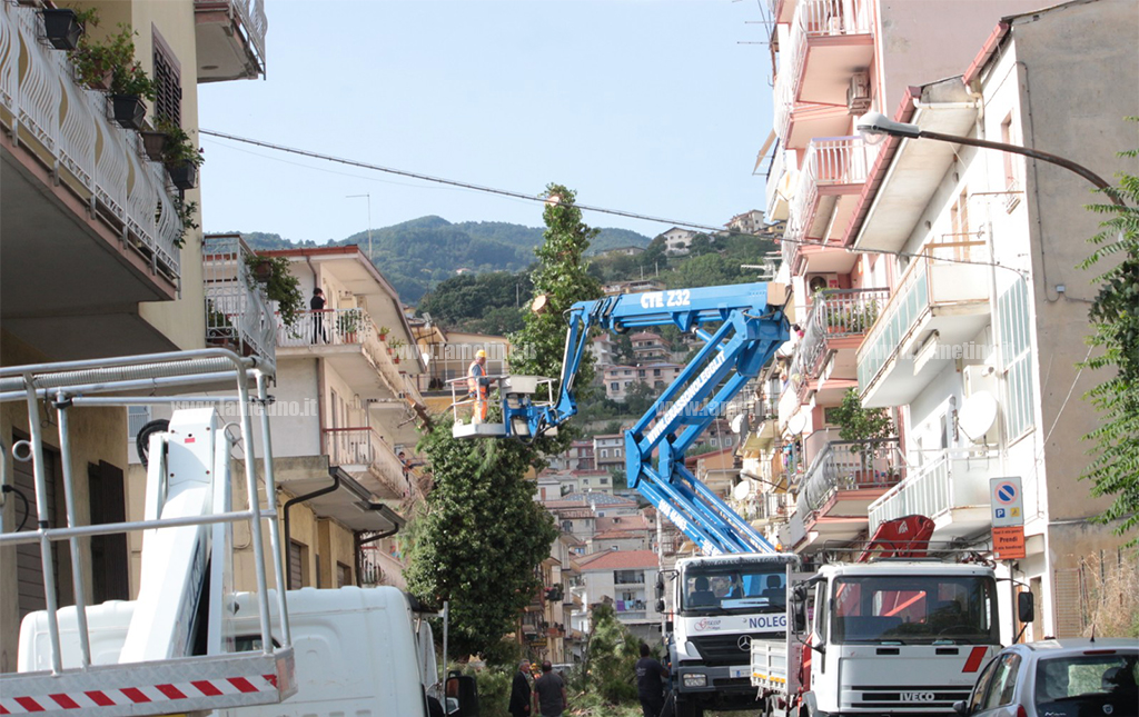 Lamezia, al via le operazioni per abbattere il pino di via Indipendenza. Vane le proteste