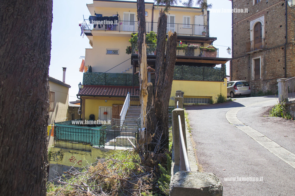 albero-caduto-villetta-san-teodoro.jpg