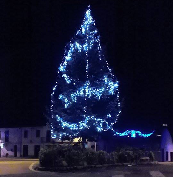 Decollatura: Nasce l’albero dei desideri