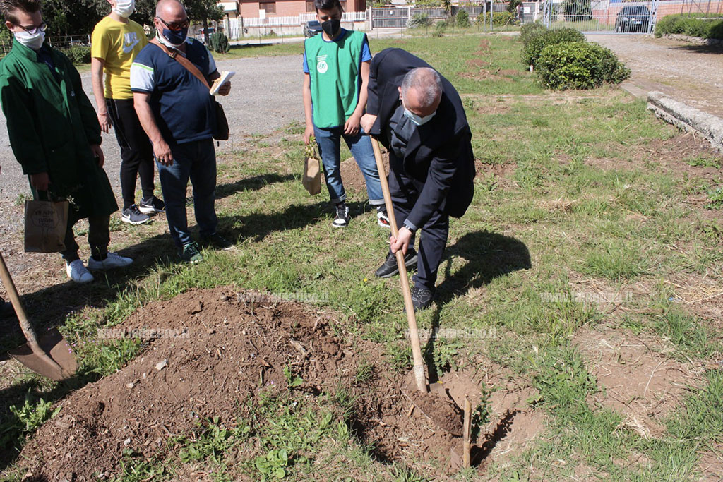 Lamezia, messi a dimora 20 alberi in plesso di Savutano dell’Istituto Luigi Costanzo di Decollatura