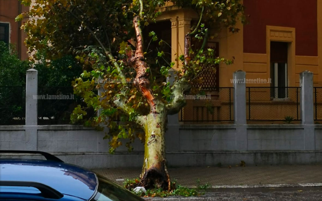 Maltempo, piogge e raffiche di vento in Calabria: disagi