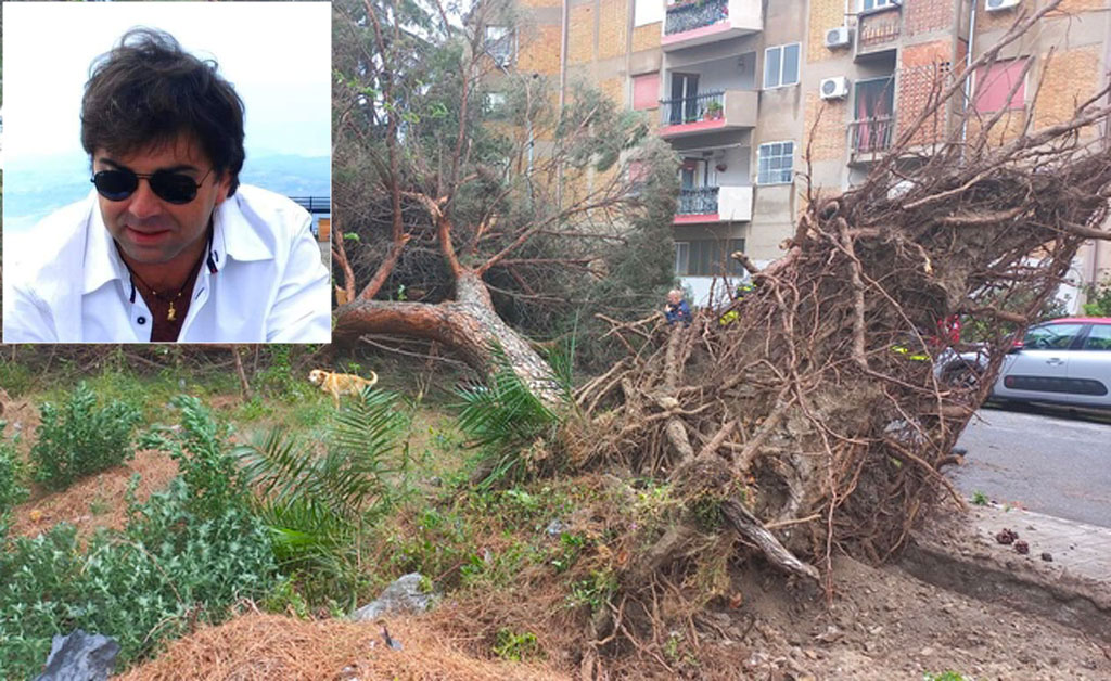 Maltempo, aperta inchiesta su morte 57enne travolto da un albero a Reggio 
