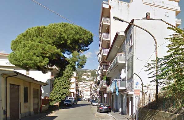 Lamezia, Nuovo Cdu su abbattimento albero via Indipendenza: “Decisione frettolosa”