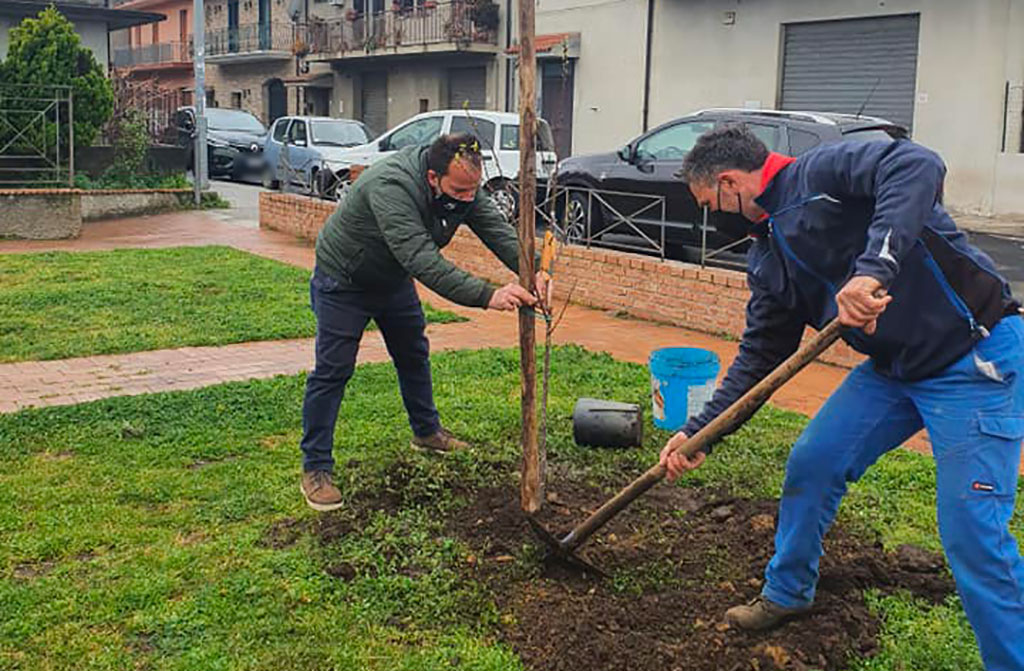 Piantumati i primi tre alberi a Girifalco per l’iniziativa “L’Albero della Vita”