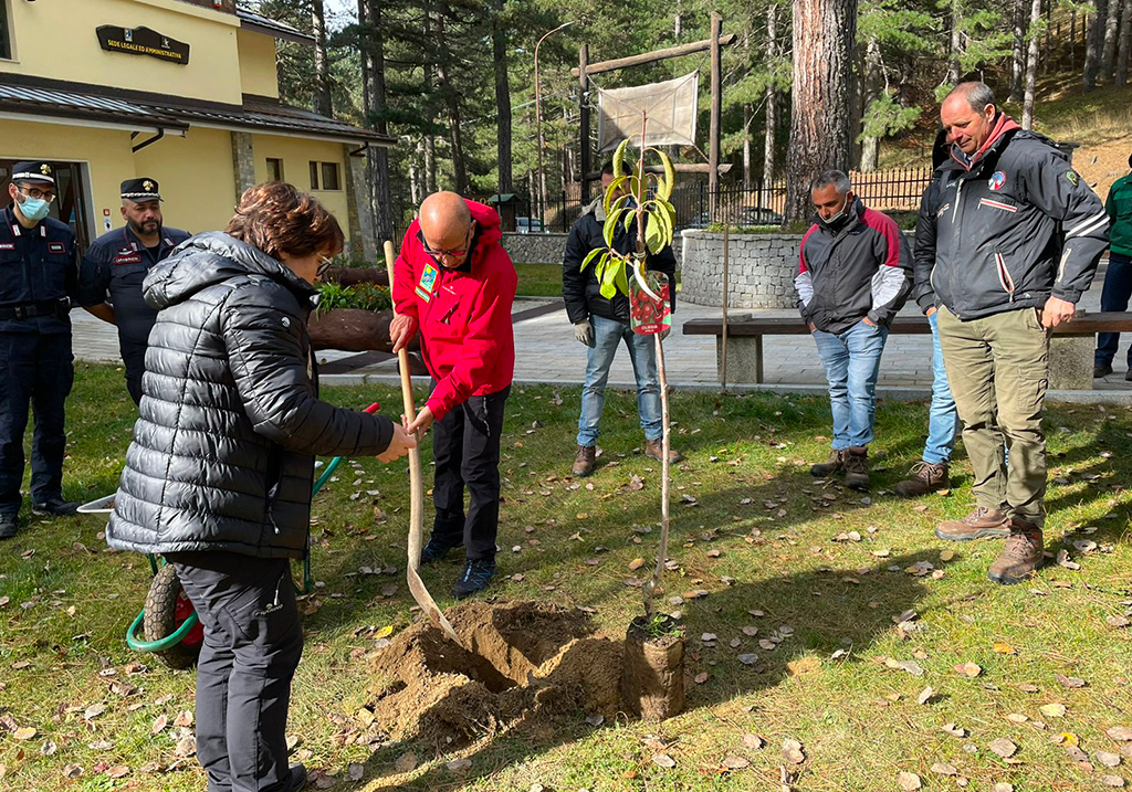 Parco Nazionale Sila celebra la Festa dell’Albero, presidente Curcio: "Prendersi cura del bosco ci riguarda"