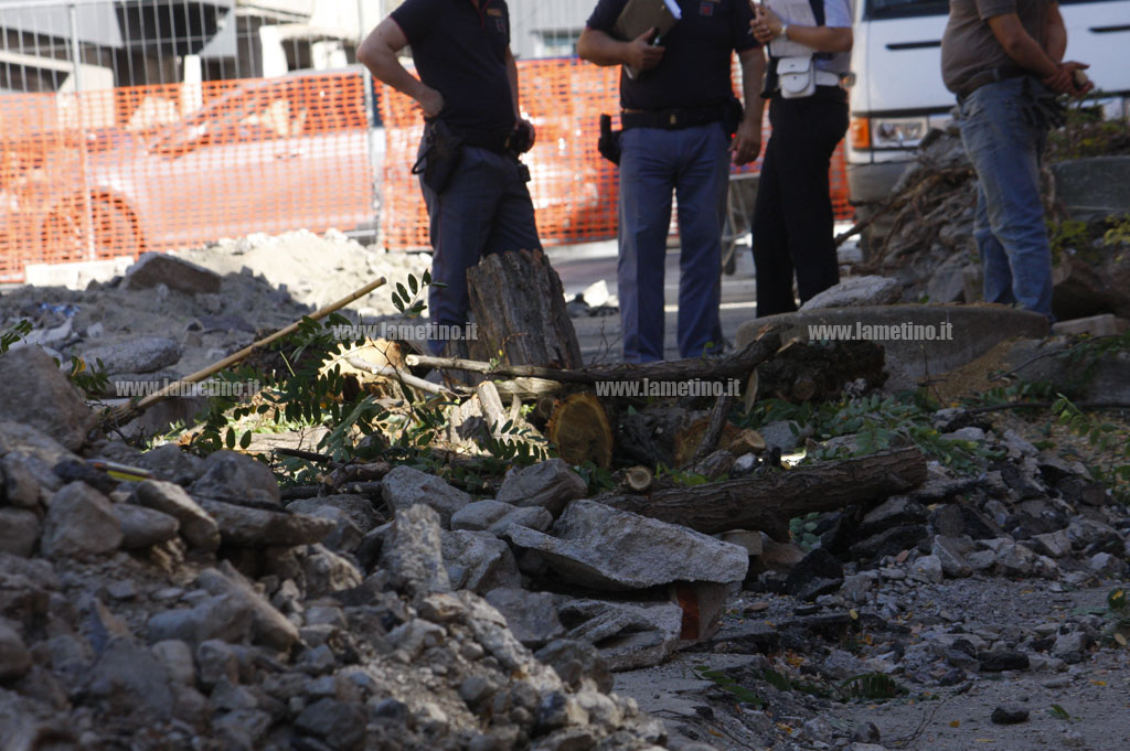 Lamezia: abbattuto albero piazza Porcelli nell’ambito dei lavori di restyling