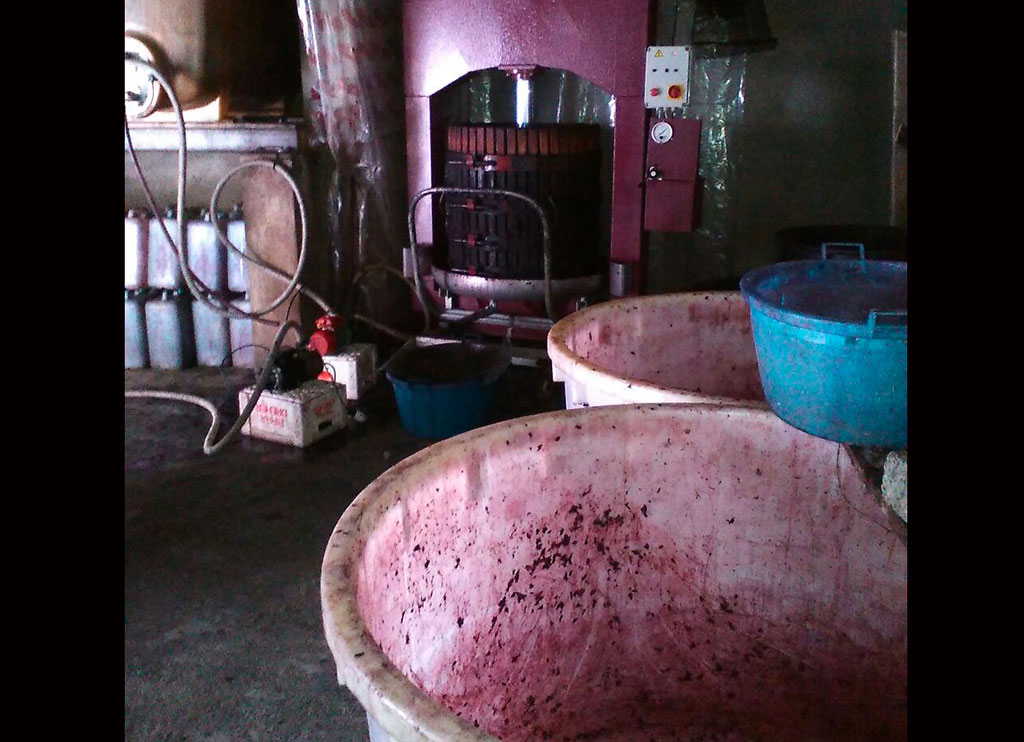 Sequestrati in Sila 6 quintali di mosto e oltre 600 litri di vino non in regola