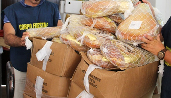 Calabria: sequestrati 60 chili di alimenti per scarsa igiene 