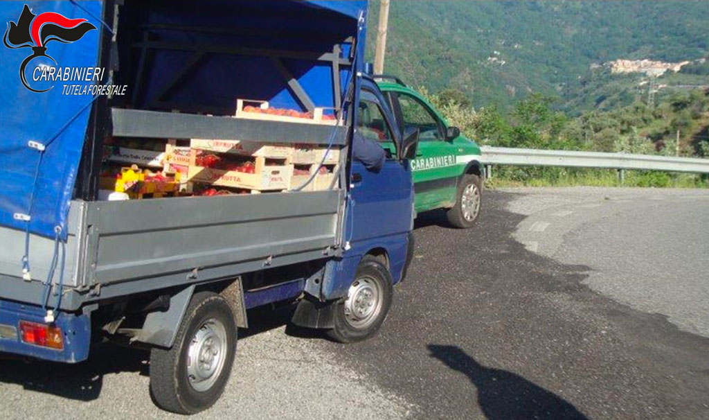 Controlli nel catanzarese su veicoli per trasporto alimenti, sanzioni