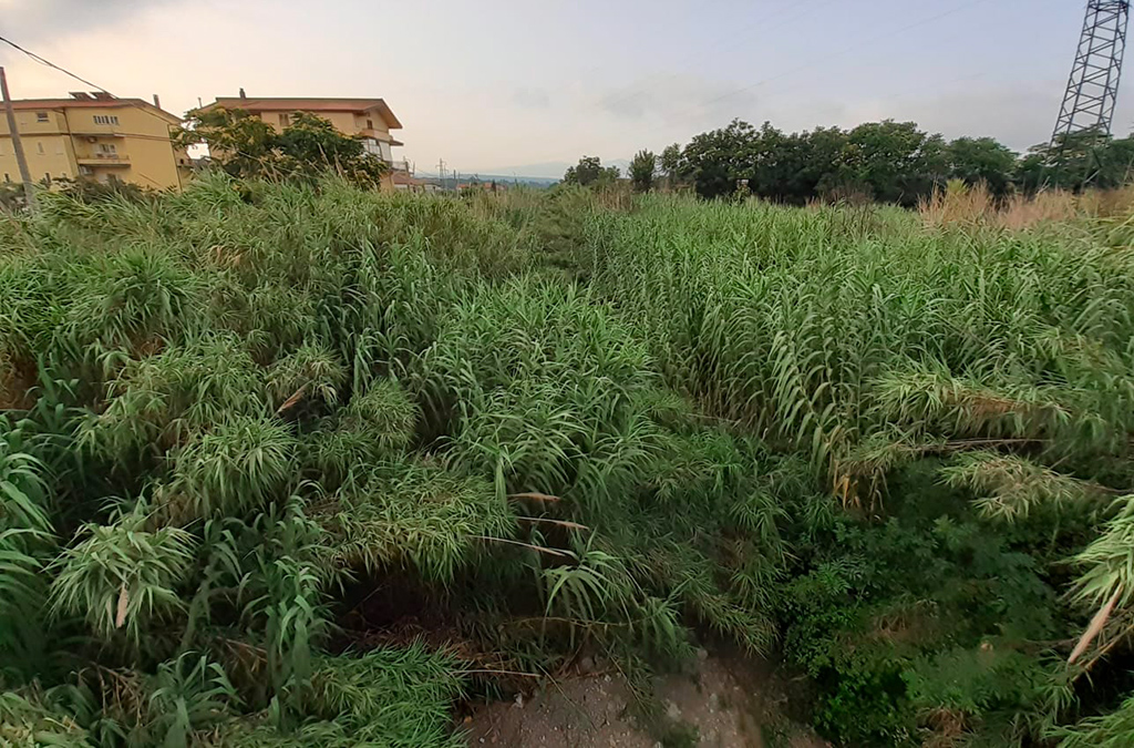 alveo-fiumi-2_6eb09.jpg