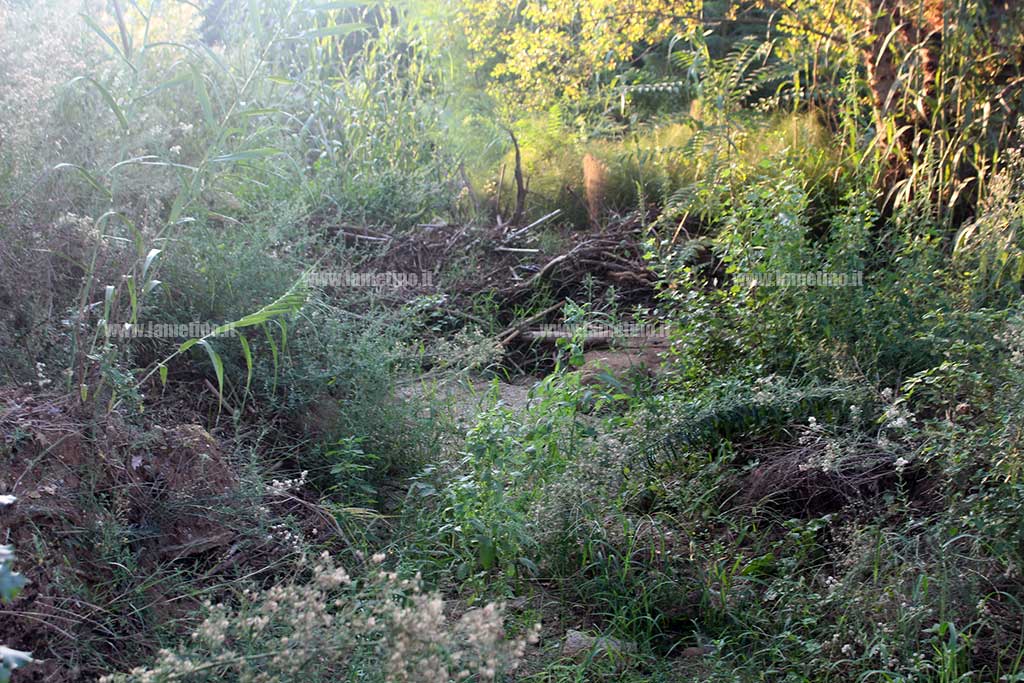 an-pietro-lametino-1-anno-dopo1.jpg