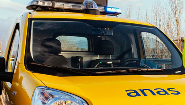 Forti raffiche di vento, albero cade sulla carreggiata: chiusa la Statale 19 a Soveria Mannelli