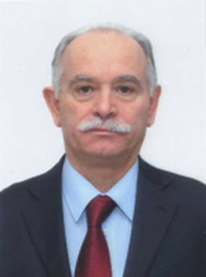 Conferito al generale Angelo Villella il “Premio Platania 2014”