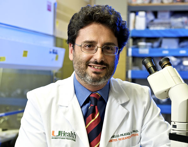 Lamezia: il professor Antonello Pileggi nominato presidente del Miami Scientific Italian Community in Florida