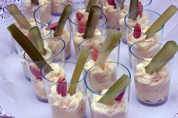 appetizer_visita_papa_lamezia