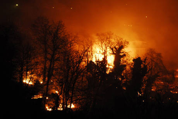 Emergenza incendi, sindaco Reggio chiede stato di calamità